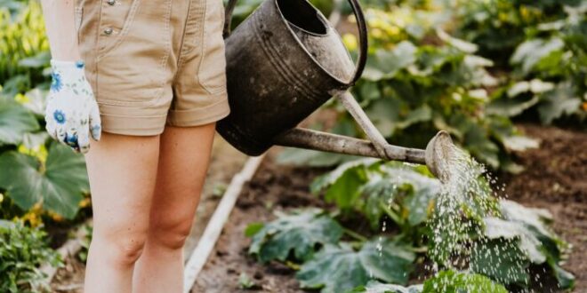 ILFONT – Oltre il bio: il dolce sapore di un’agricoltura più etica