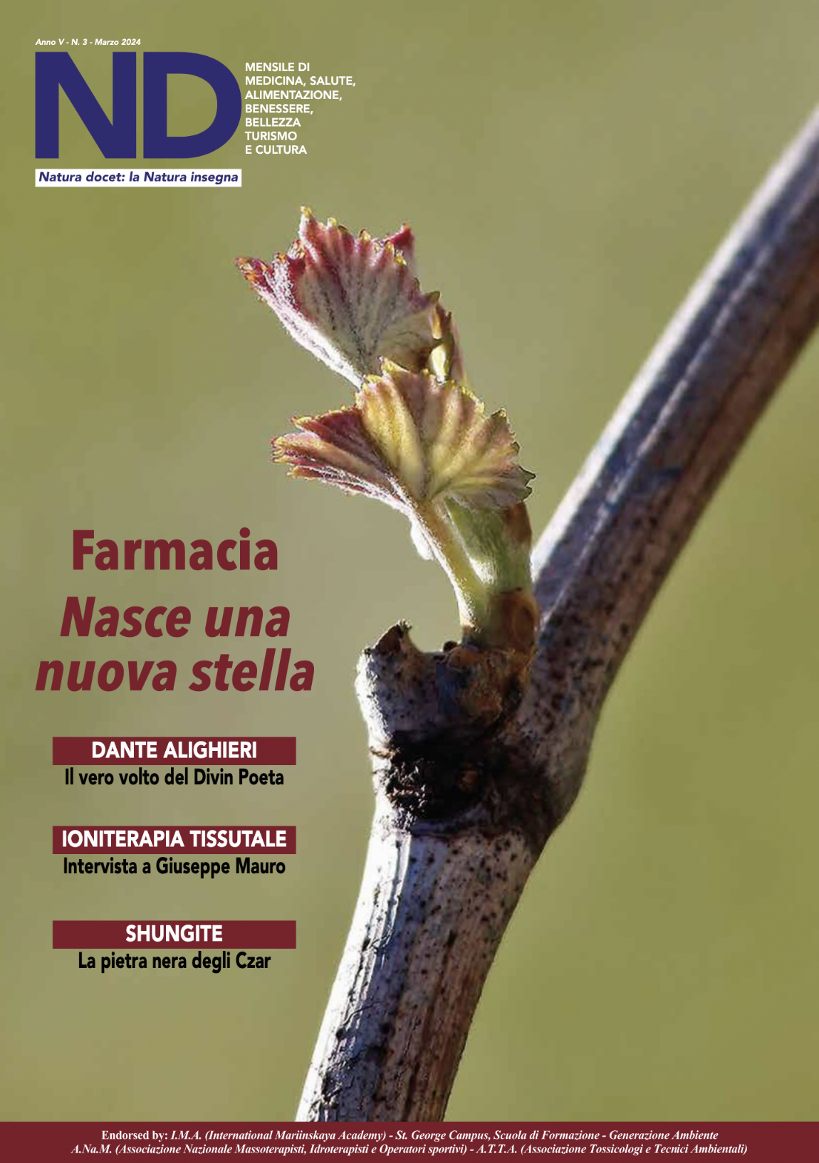 L’alternativa naturale esiste – Il modello Valle d’Aosta (NDMagazine Marzo 2024)